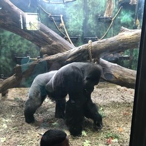 Meet your Posher, Aaron